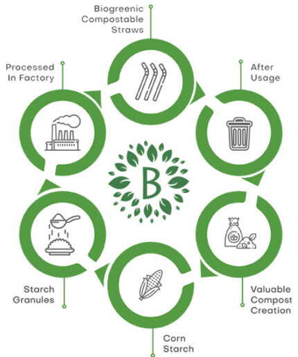 Welcome to Biogreenic – A straw closer to nature